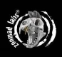 ZOOMAD LABS