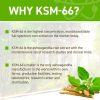 Applied Nutrition Ashwagandha KSM-66 + Astragin 60 Caps 60 Kapszula