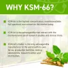 Applied Nutrition Ashwagandha KSM-66 + Astragin 60 Caps 60 Kapszula