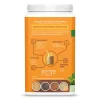 Sunwarrior Protein Classic  PLUS (Plant Based, Organic) 750g Unflavored (Ízesítetlen)