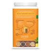 Sunwarrior Protein Classic  PLUS (Plant Based, Organic) 750g Vanilla (Vanília)