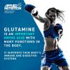 Applied Nutrition Glutamine 500g Unflavored (Ízesítetlen)