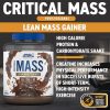 Applied Nutrition Critical Mass Professional 2400g Chocolate (Csokoládé)