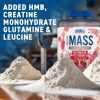 Applied Nutrition Critical Mass Professional 2400g Chocolate (Csokoládé)
